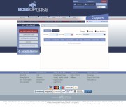 BossOptions Trading Platform Screenshot