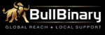 BullBinary Logo