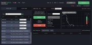 QuickOption Trading Platform Screenshot