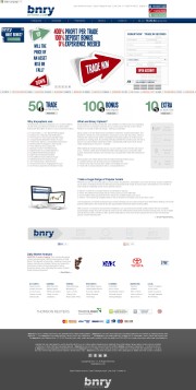 bnryoptions Home Page Screenshot