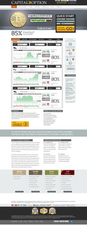 CapitalOption Home Page Screenshot