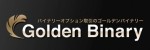 Golden Binary Logo